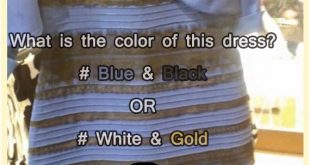 blue & black or White & Golden